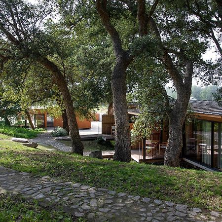 Wood Mood Lodges Cristelo  Ngoại thất bức ảnh